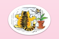 Misty Blue Kitty Care Logo