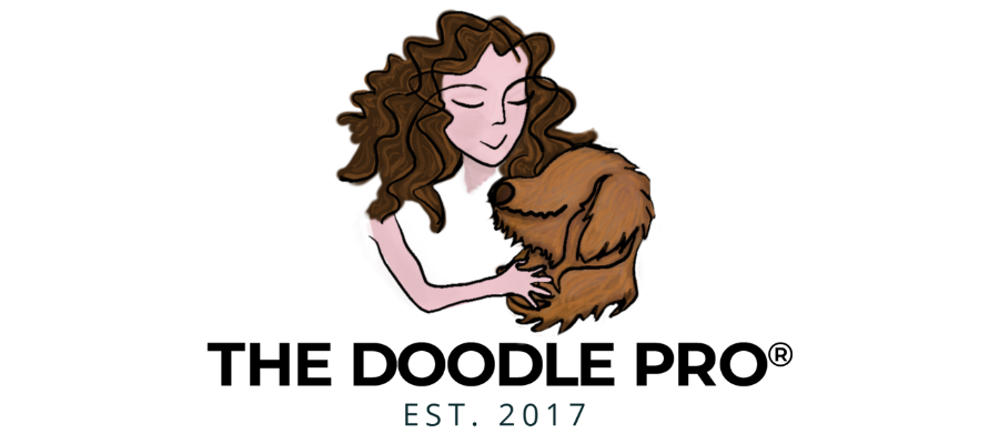 The Doodle Pro&reg; Logo