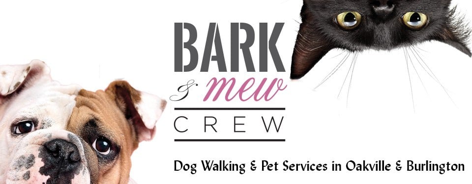 Bark and Mew Crew Logo