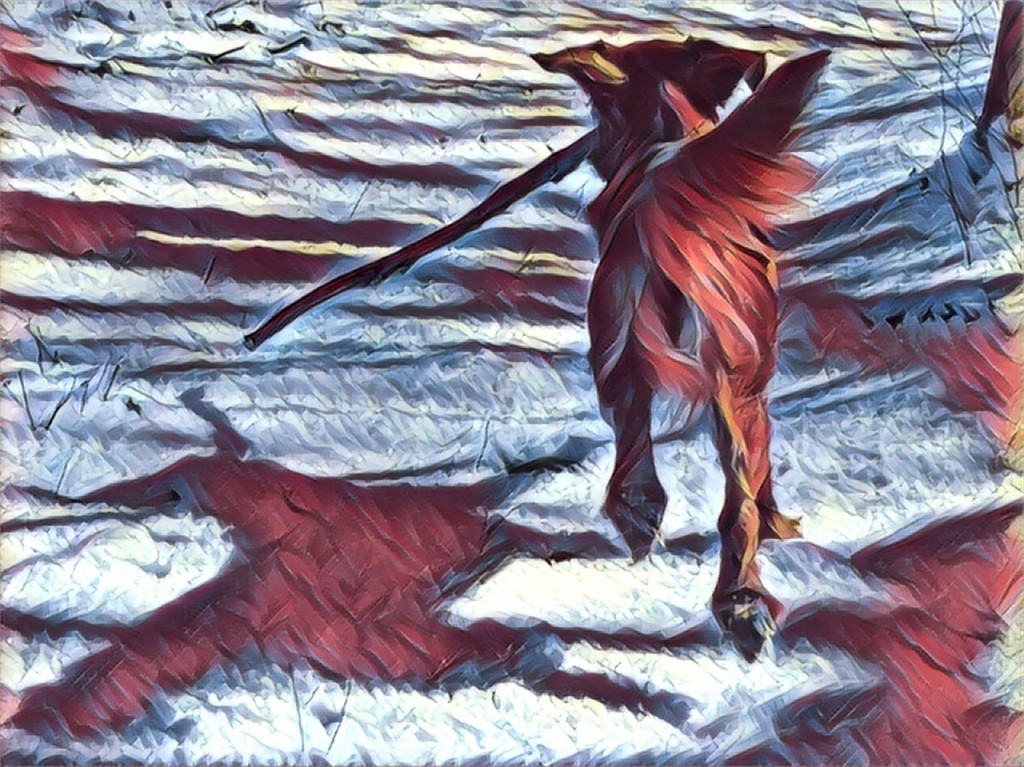 Wagged Out Pet Care, LLC Logo