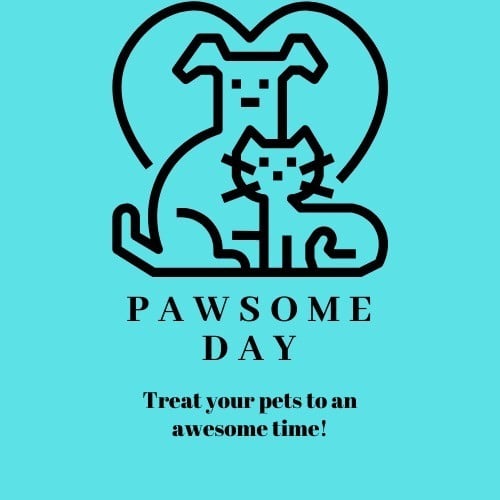 Katerina Stepanova Logo