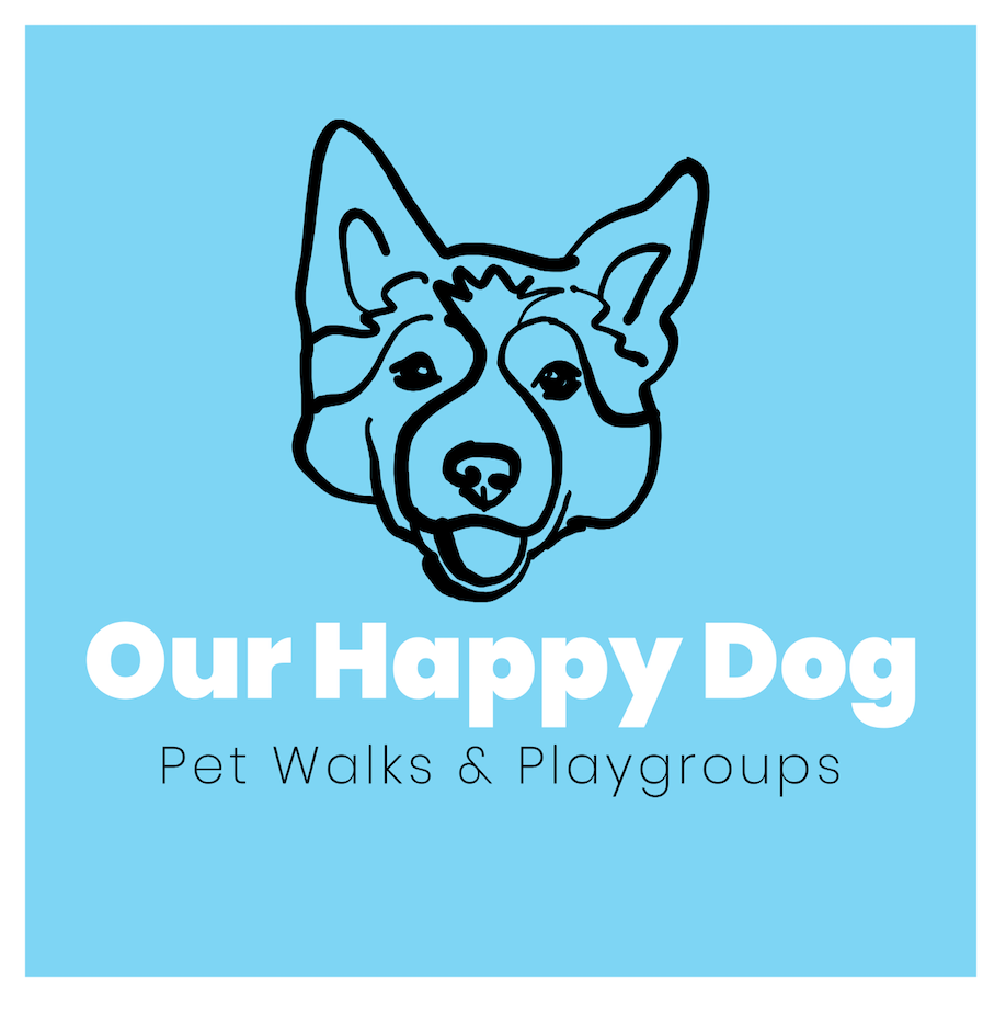 Brianne Morrisseau Logo