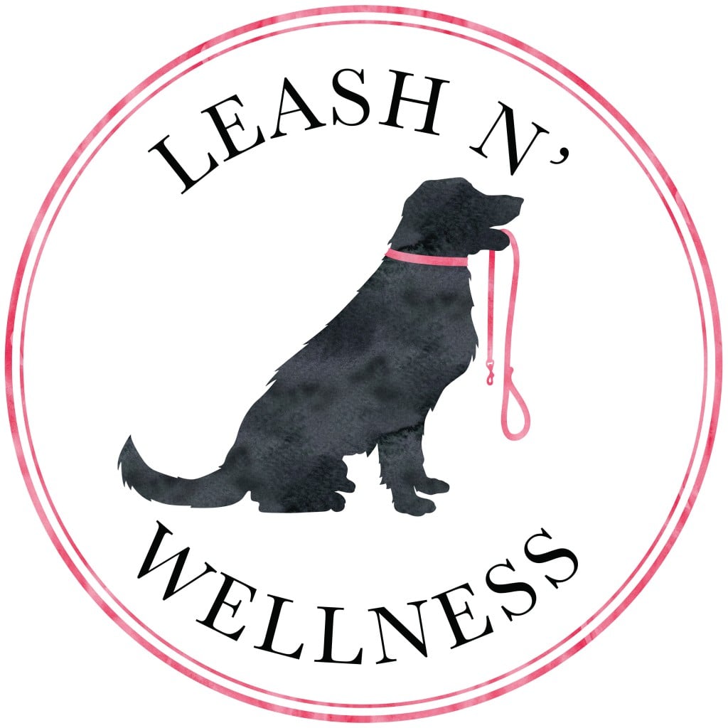 Leash N&rsquo; Wellness  Logo