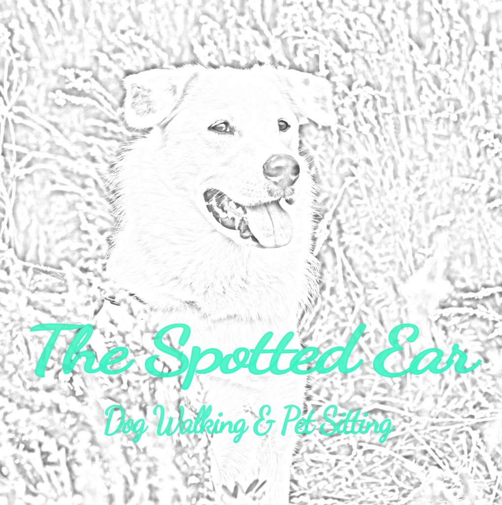 The Spotted Ear Logo