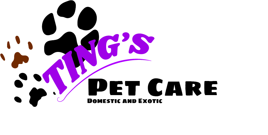 Brandin Josue Alvarez Logo