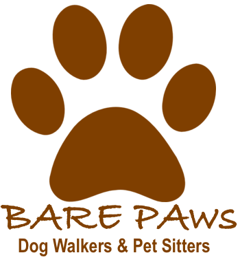 Bare Paws NYC Dog Walkers & Pet Sitters Logo