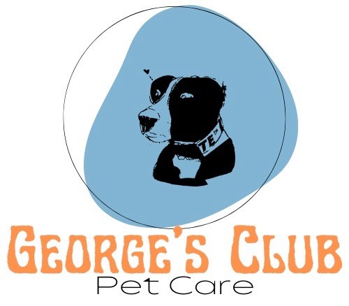 George&rsquo;s Club  Logo