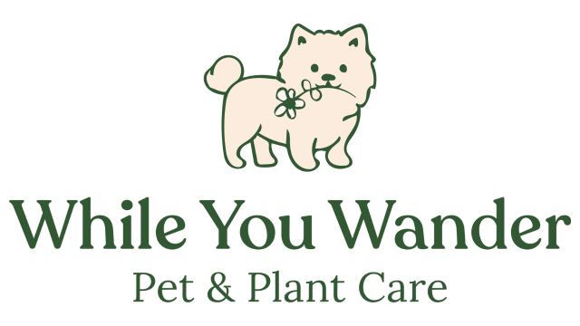 While You Wander Logo