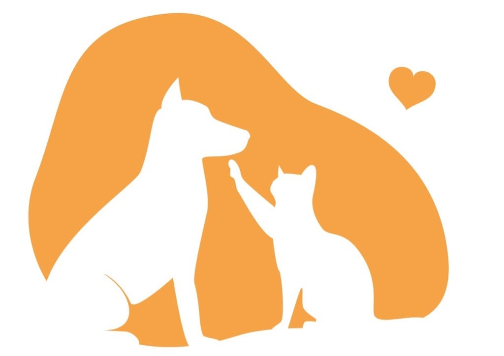 Pawpularity Pet Care | Baileigh Clark Logo