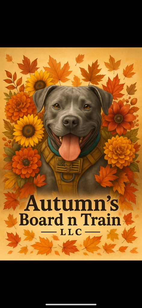 AutumnsBoardnTrain LLC Logo