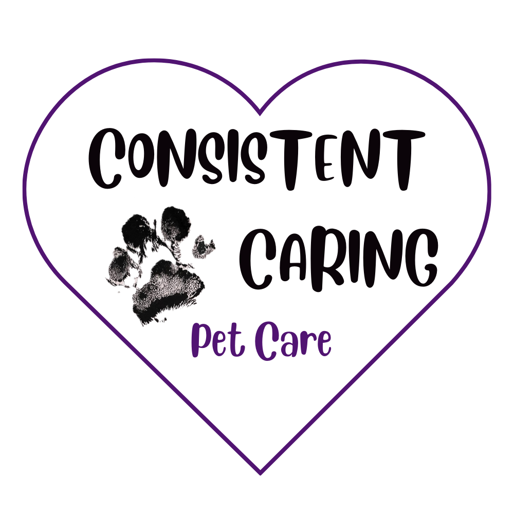 Consistent Caring Logo