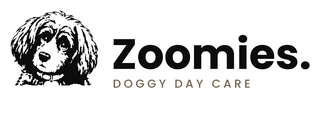 Zoomies Daycare Ltd Logo