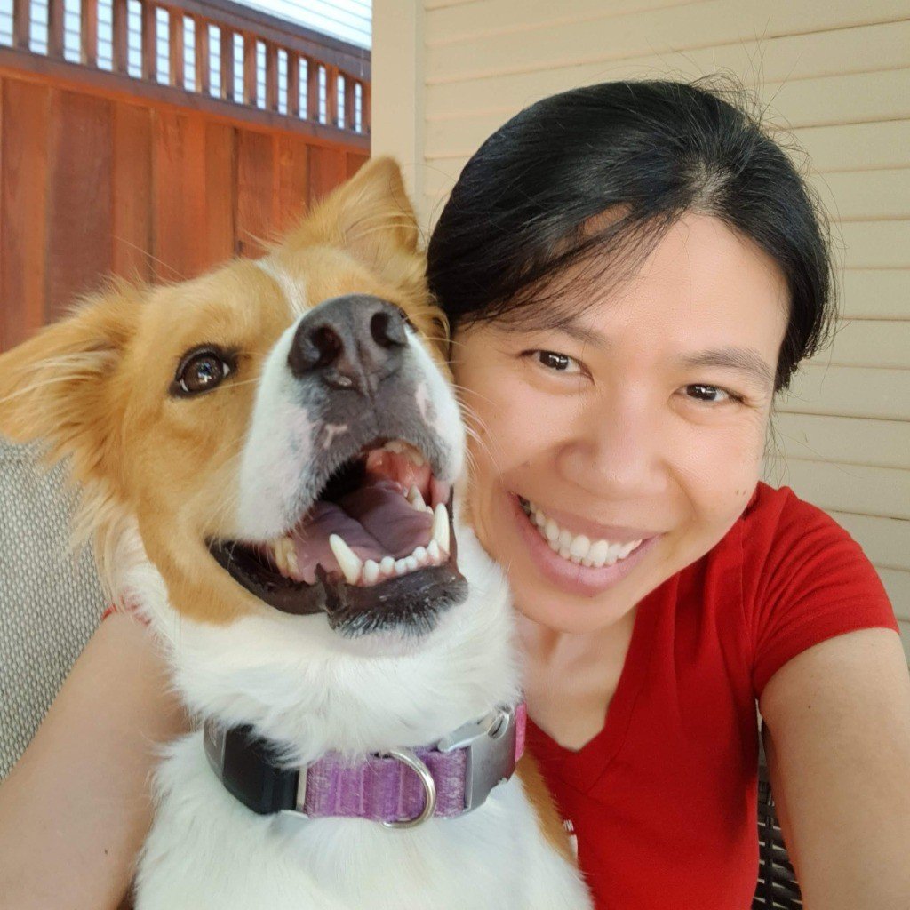 Pets Play Smart LLC Logo