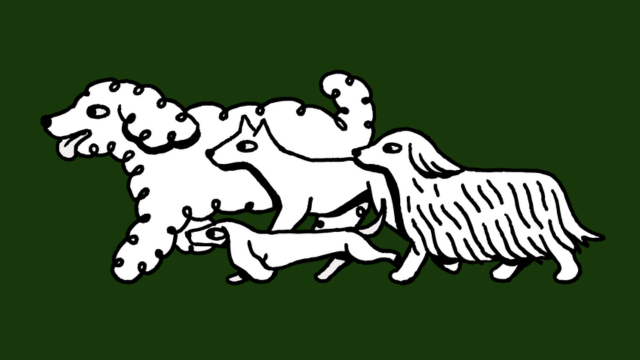 Social Dogs Club Logo