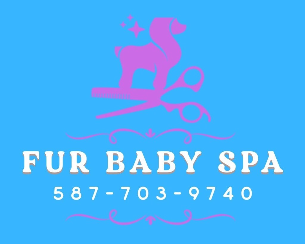 Fur Baby Spa Logo