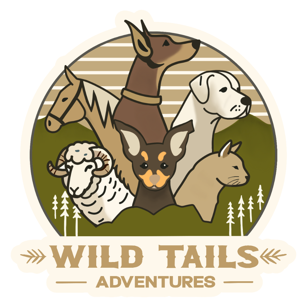 Wild Tails Adventures  Logo