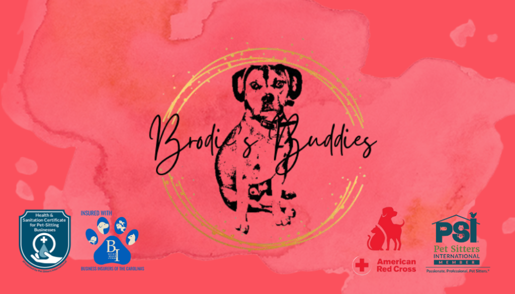 Brodies Buddies Logo