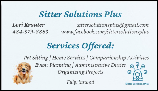 Sitter Solutions Plus LLC Logo