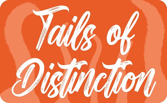 Tails of Distinction Logo