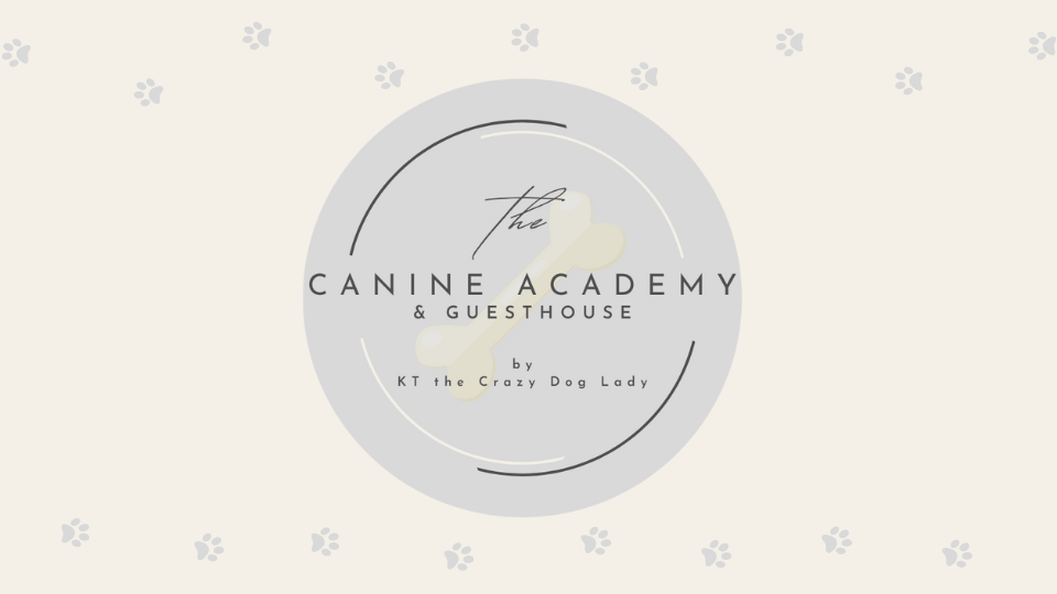 The Canine Academy & Guesthouse Logo