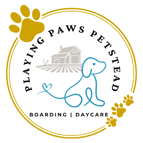 Playing Paws Petstead Logo