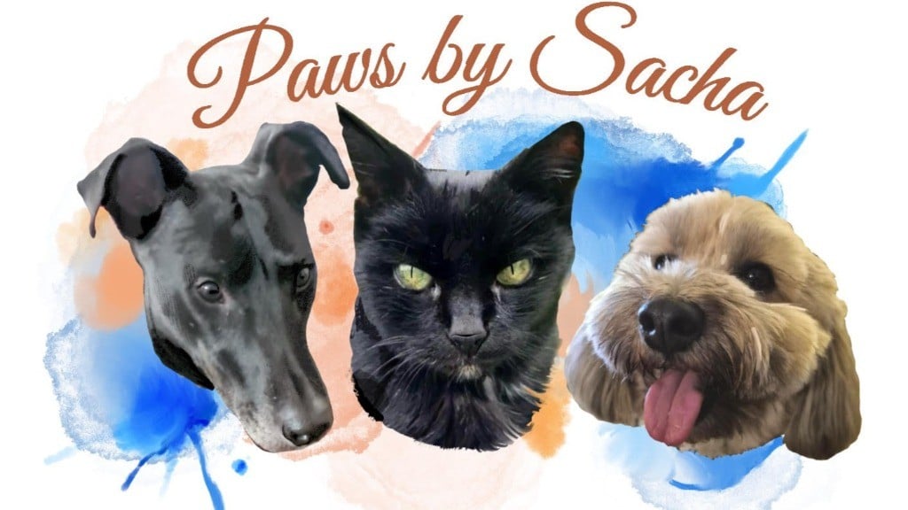 Paws by Sacha Logo