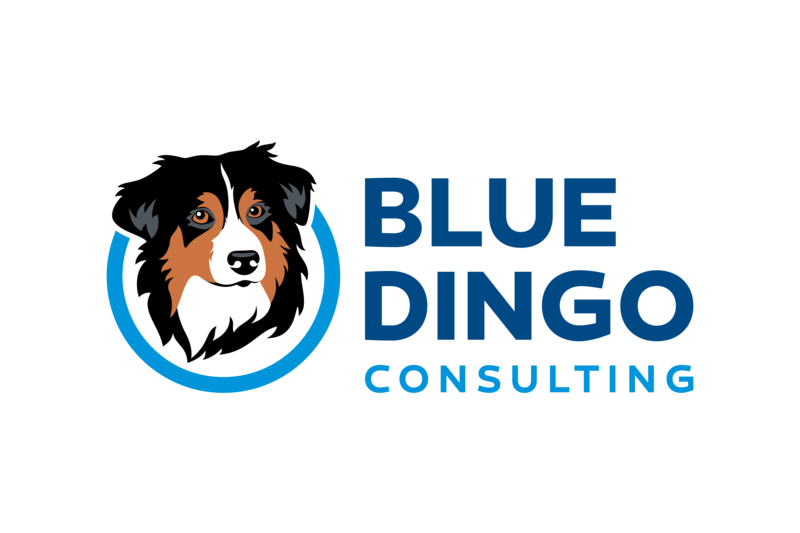 Blue Dingo Consulting  Logo