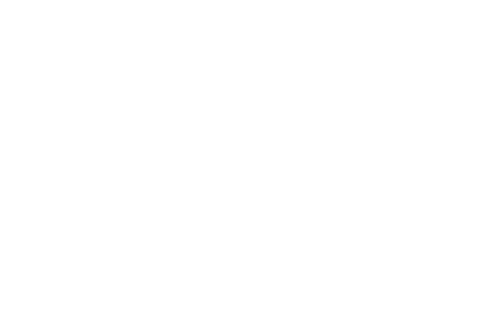 Brightside Pet Company LLC Logo