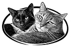 Cat Care by Jules Logo