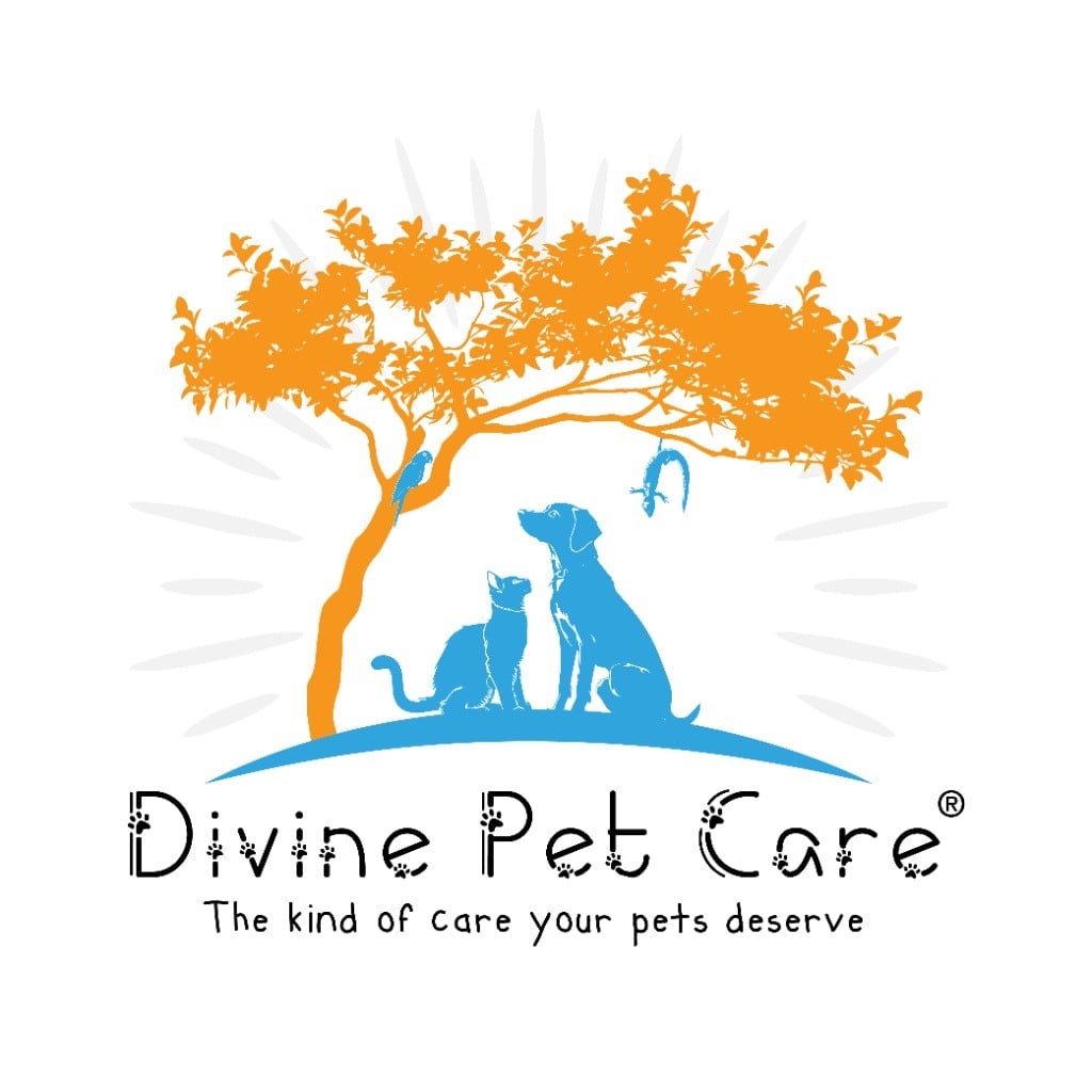 Divine Pet Care (TTP) Logo