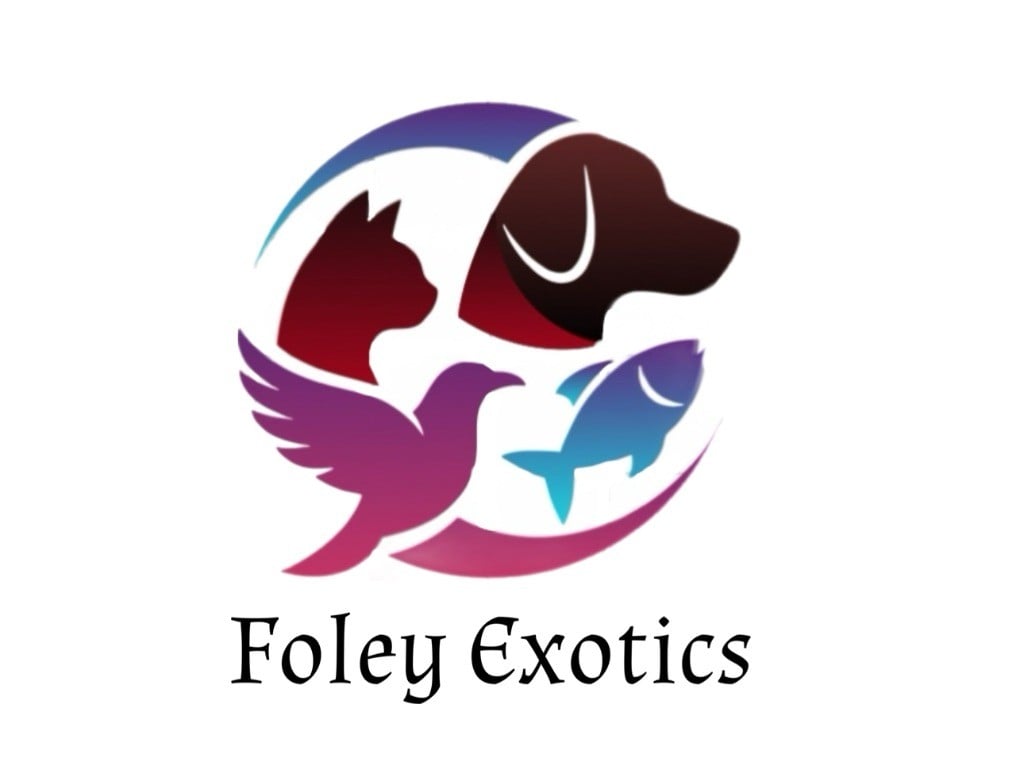 Foley Exotics Logo