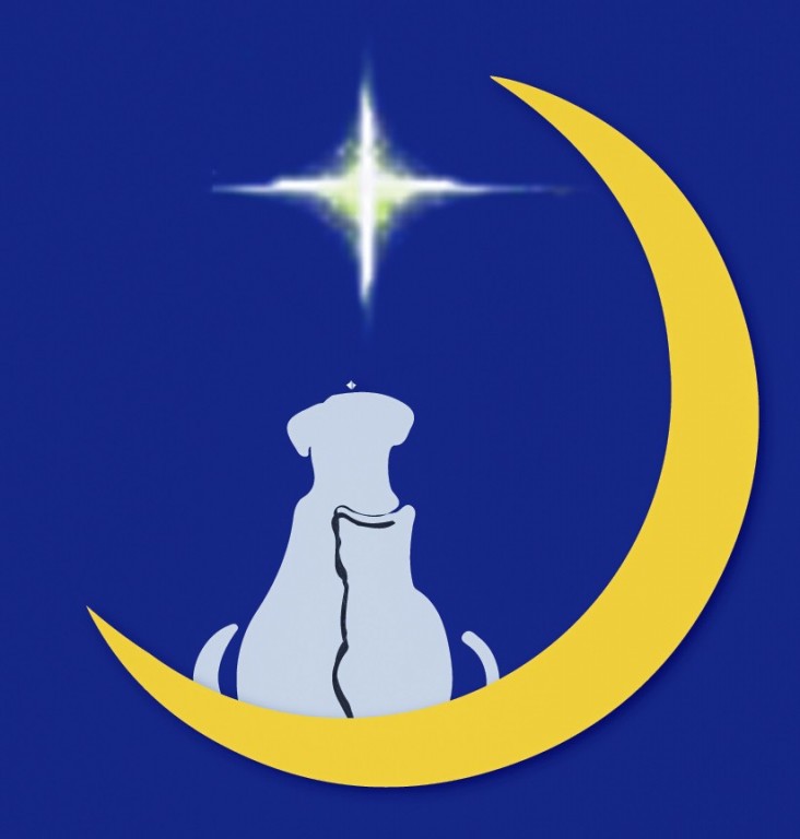 Bark at The Moon Pet Sitting Logo